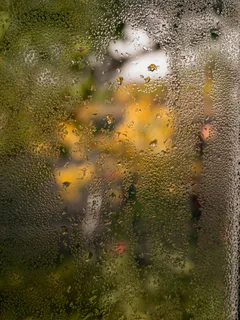 Lähikuva kukasta, joka seisoo sateessa